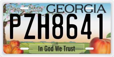 GA license plate PZH8641