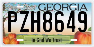 GA license plate PZH8649