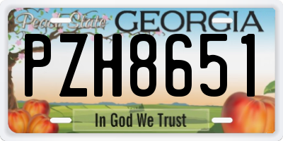 GA license plate PZH8651