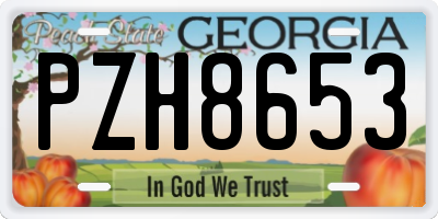 GA license plate PZH8653