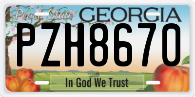 GA license plate PZH8670