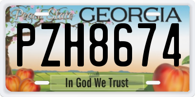 GA license plate PZH8674
