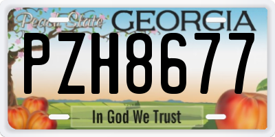 GA license plate PZH8677