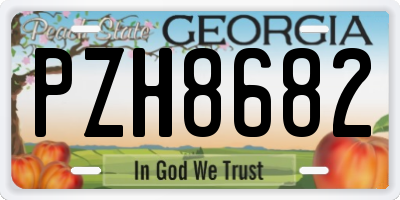 GA license plate PZH8682