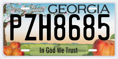 GA license plate PZH8685