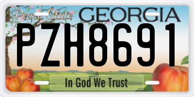 GA license plate PZH8691