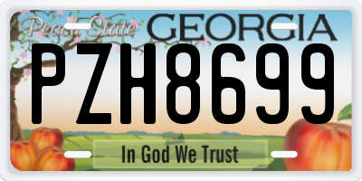 GA license plate PZH8699