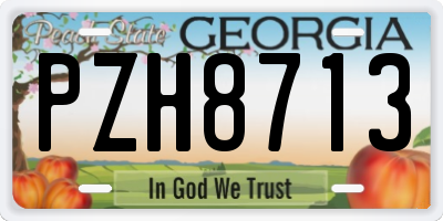 GA license plate PZH8713