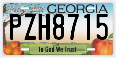 GA license plate PZH8715