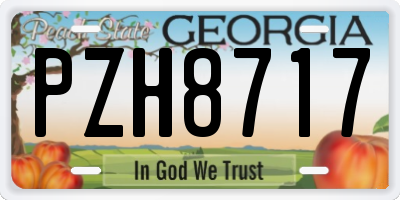 GA license plate PZH8717