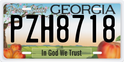 GA license plate PZH8718
