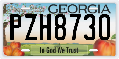 GA license plate PZH8730