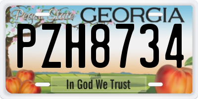GA license plate PZH8734
