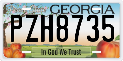 GA license plate PZH8735