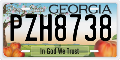 GA license plate PZH8738