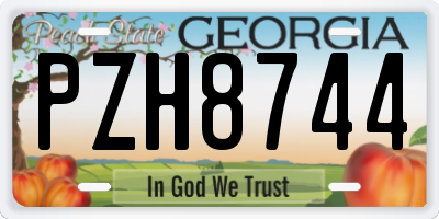 GA license plate PZH8744