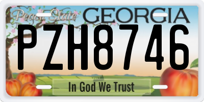 GA license plate PZH8746