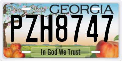 GA license plate PZH8747