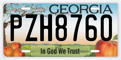 GA license plate PZH8760