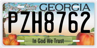 GA license plate PZH8762