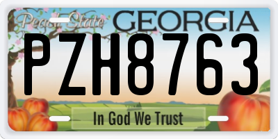 GA license plate PZH8763