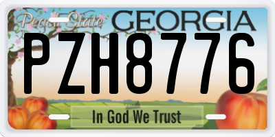 GA license plate PZH8776