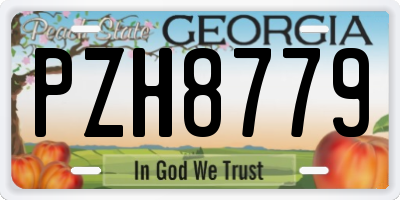 GA license plate PZH8779