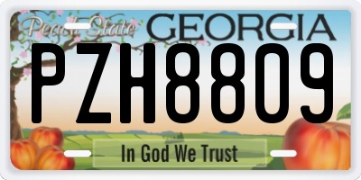 GA license plate PZH8809