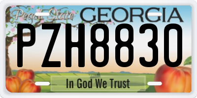 GA license plate PZH8830