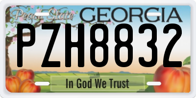 GA license plate PZH8832