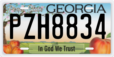 GA license plate PZH8834
