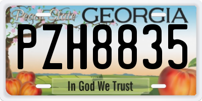 GA license plate PZH8835