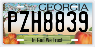 GA license plate PZH8839