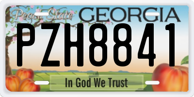 GA license plate PZH8841