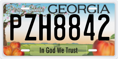 GA license plate PZH8842