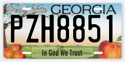 GA license plate PZH8851