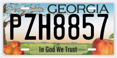 GA license plate PZH8857