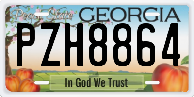 GA license plate PZH8864
