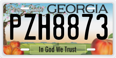 GA license plate PZH8873