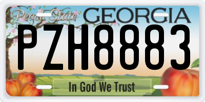GA license plate PZH8883