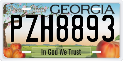 GA license plate PZH8893