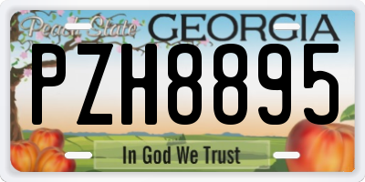GA license plate PZH8895