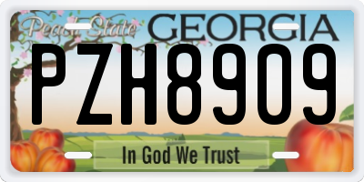 GA license plate PZH8909