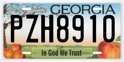 GA license plate PZH8910