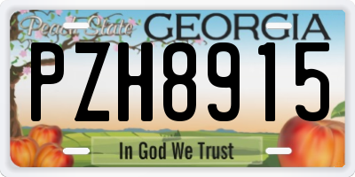 GA license plate PZH8915