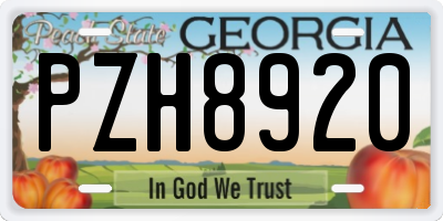 GA license plate PZH8920