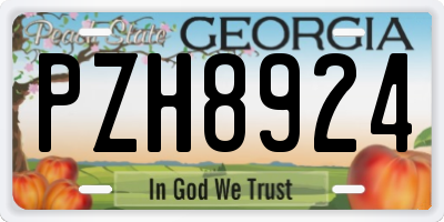 GA license plate PZH8924