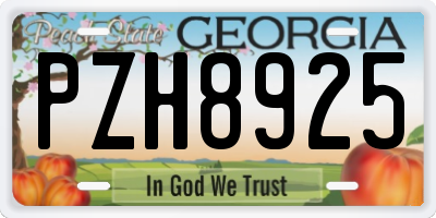 GA license plate PZH8925