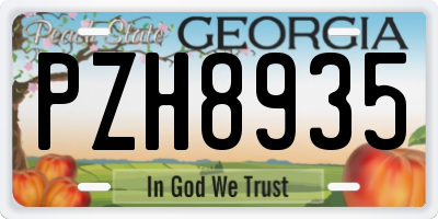 GA license plate PZH8935