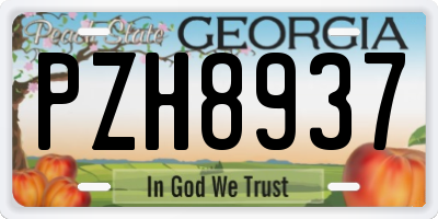 GA license plate PZH8937